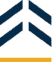Elevated Icon
